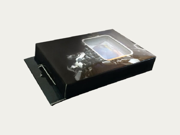 Memory Card Packaging