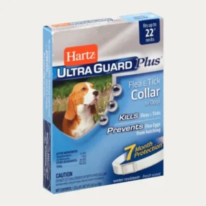 Dog Collar Boxes