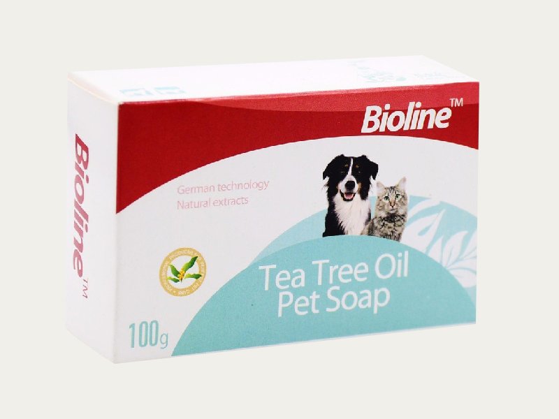 Dog Soap Boxes