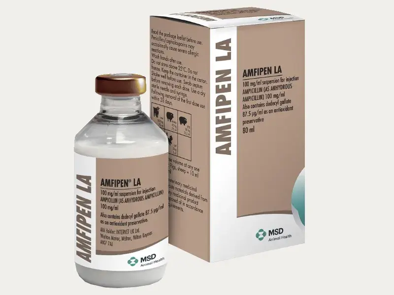80ml Bottle Boxes