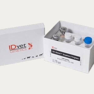 Diagnostic Kit Boxes