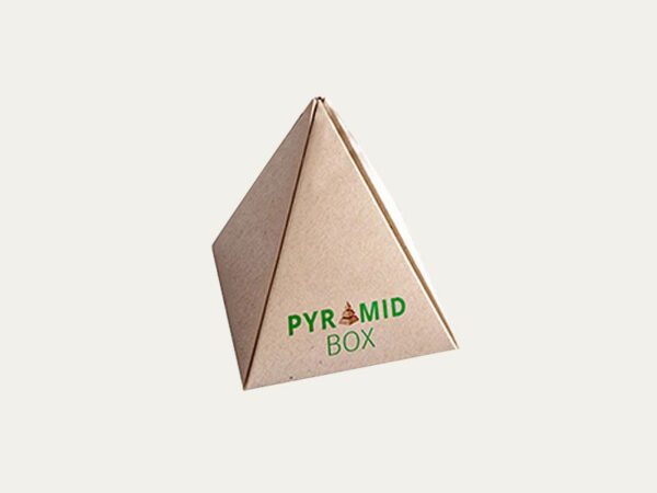 Corrugated Pyramid Boxes