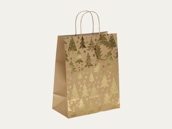 Paper Gift Bags