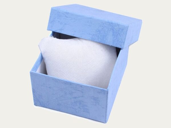 Wrist Watch Boxes