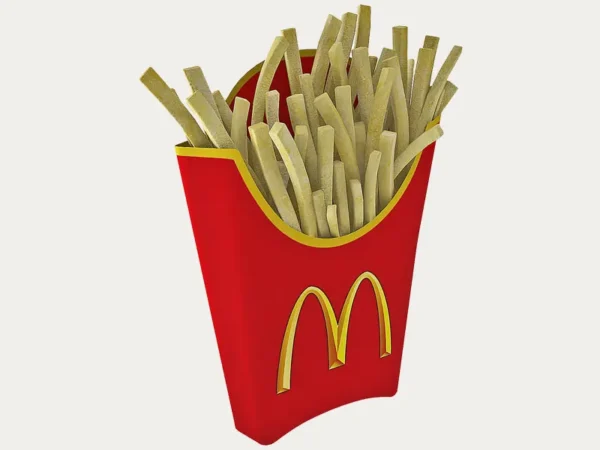 French Fry Boxes