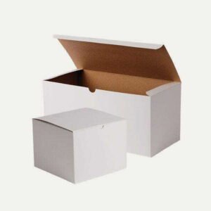 White Kraft Boxes