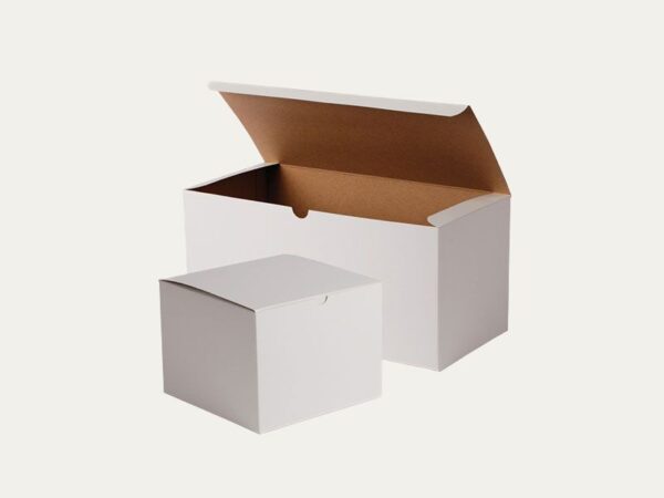 White Kraft Boxes