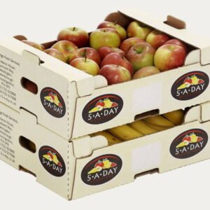 Food Shipping Boxes
