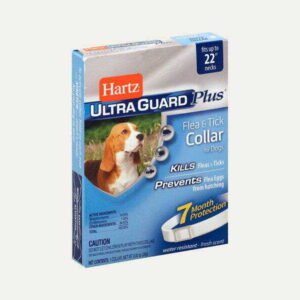Dog Training Collar Boxes