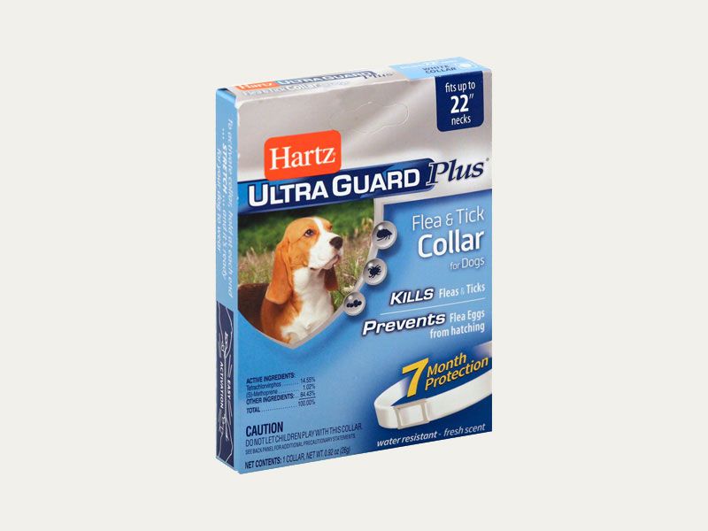 Dog Training Collar Boxes