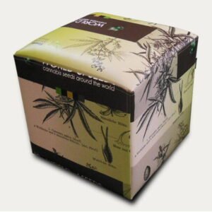 Cannabis Seeds Boxes