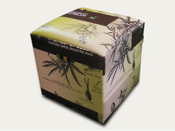 Cannabis Seeds Boxes