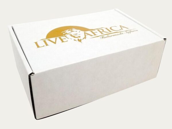 White Shipping Boxes